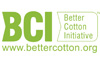 BCI logo